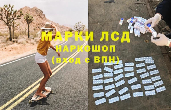 сатива Армянск