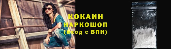 стафф Алзамай