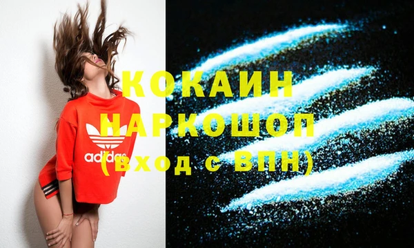 стафф Алзамай