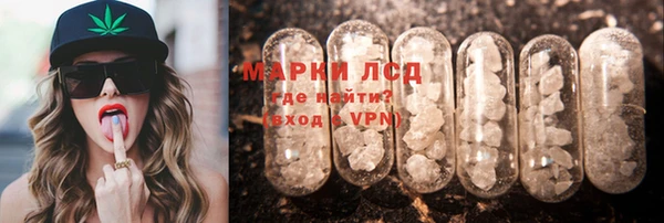 стафф Алзамай