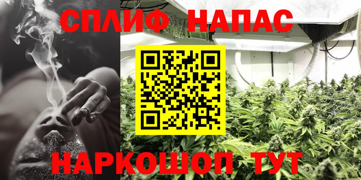 Конопля планчик Сорочинск